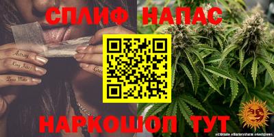 mdpv Новозыбков