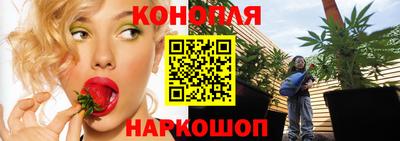 mdpv Новозыбков